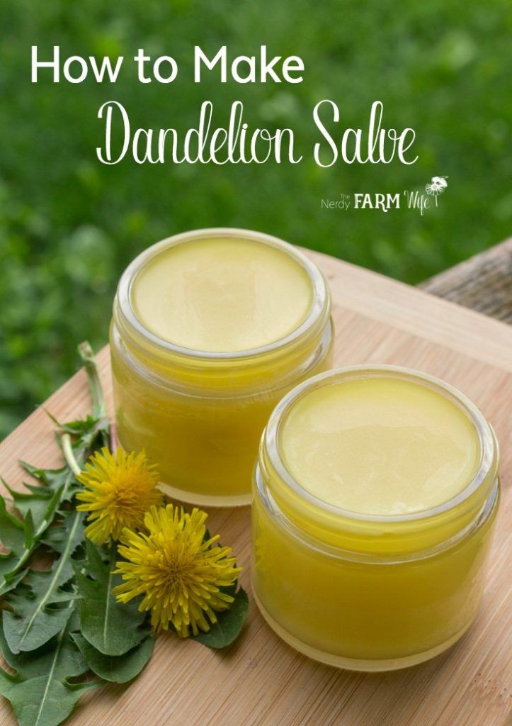 DIY Dandelion Salve Recipe - Learn how to use those dandelions growing in your backyard to make a salve that's useful for sore muscles, achy & arthritic joints and rough, chapped skin. Dandelion salve is especially ideal for those who work outdoors and with their hands a lot! Diy Dandelion, Dandelion Salve, Salve Recipes, Dandelion Jelly, Herbal Salves, Healing Salves, Herbal Recipes, Natural Healing Remedies, Herbal Healing