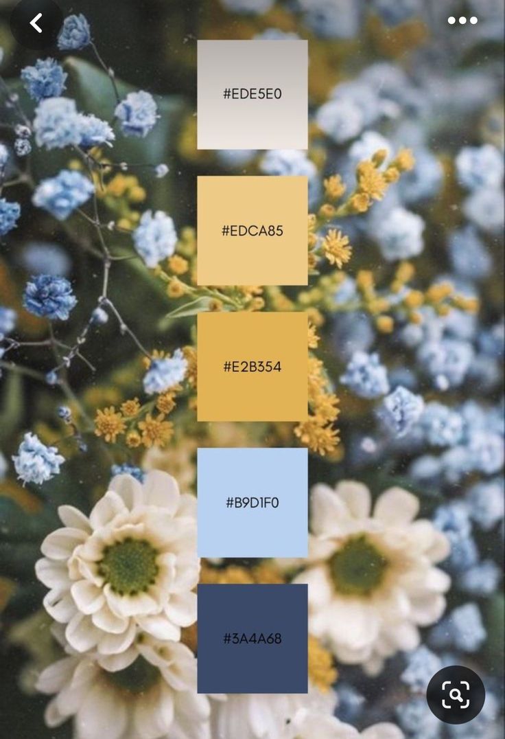 some blue and yellow flowers are in the middle of an image with text on it