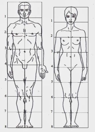 an image of a man's body and the height chart for each individual to see