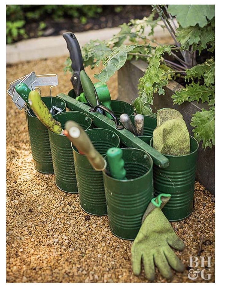 several green buckets with gardening tools in them on the ground next to some plants