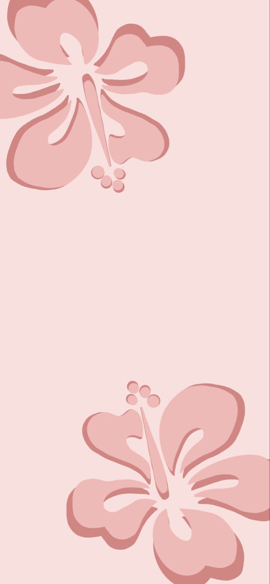 two pink flowers on a light pink background