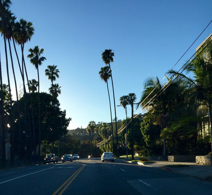 cars are driving down the street in front of palm trees