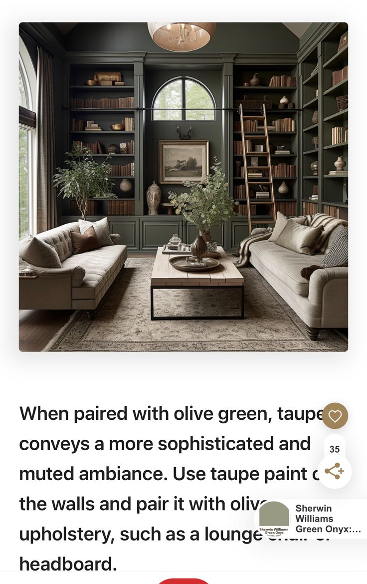 a living room filled with furniture and bookshelves next to a large book shelf