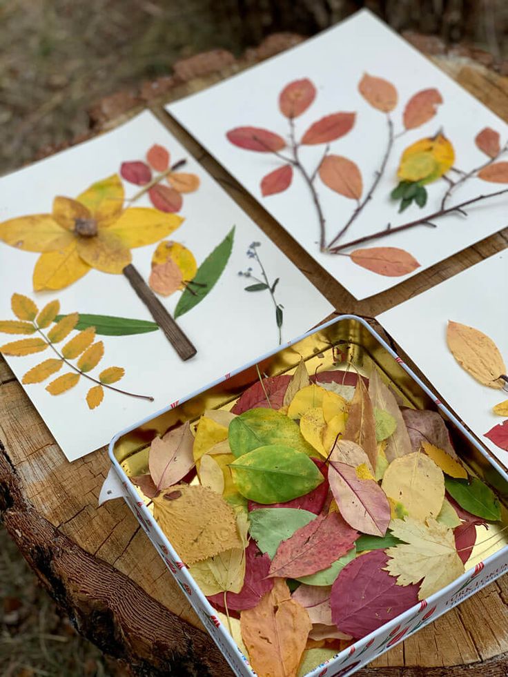 four cards with leaves on them sitting on top of a tree stump in the woods