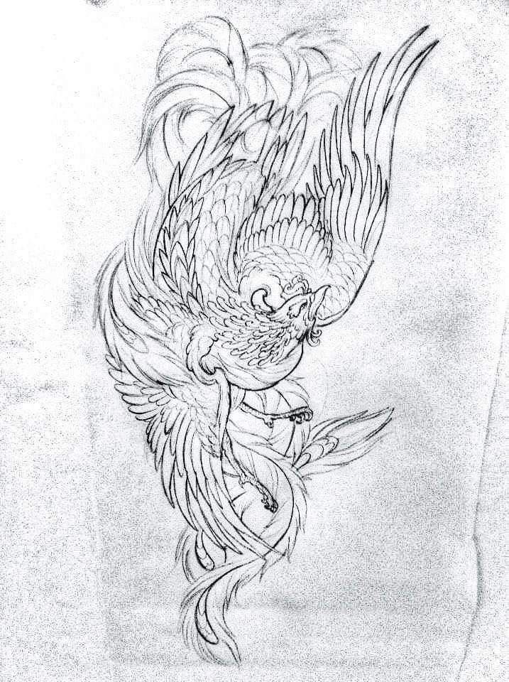 a pencil drawing of a bird with wings