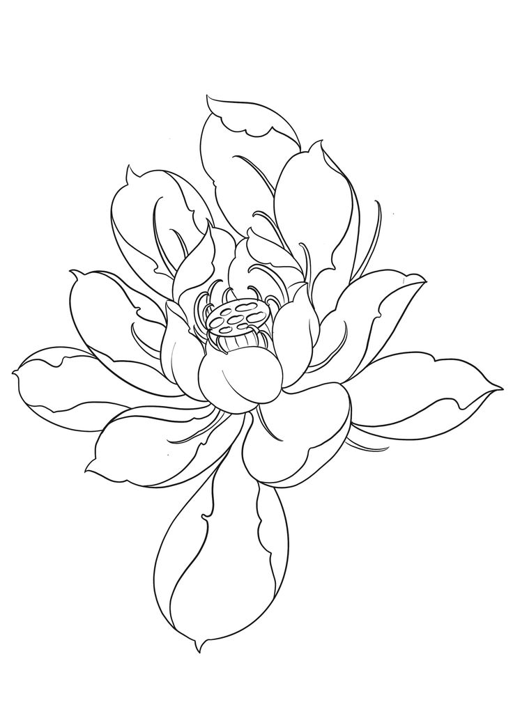 a black and white drawing of a flower