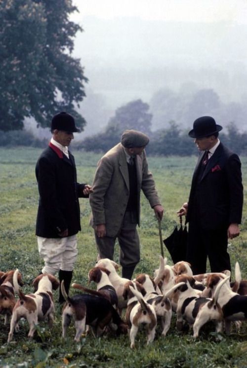 two men are standing in the grass with dogs