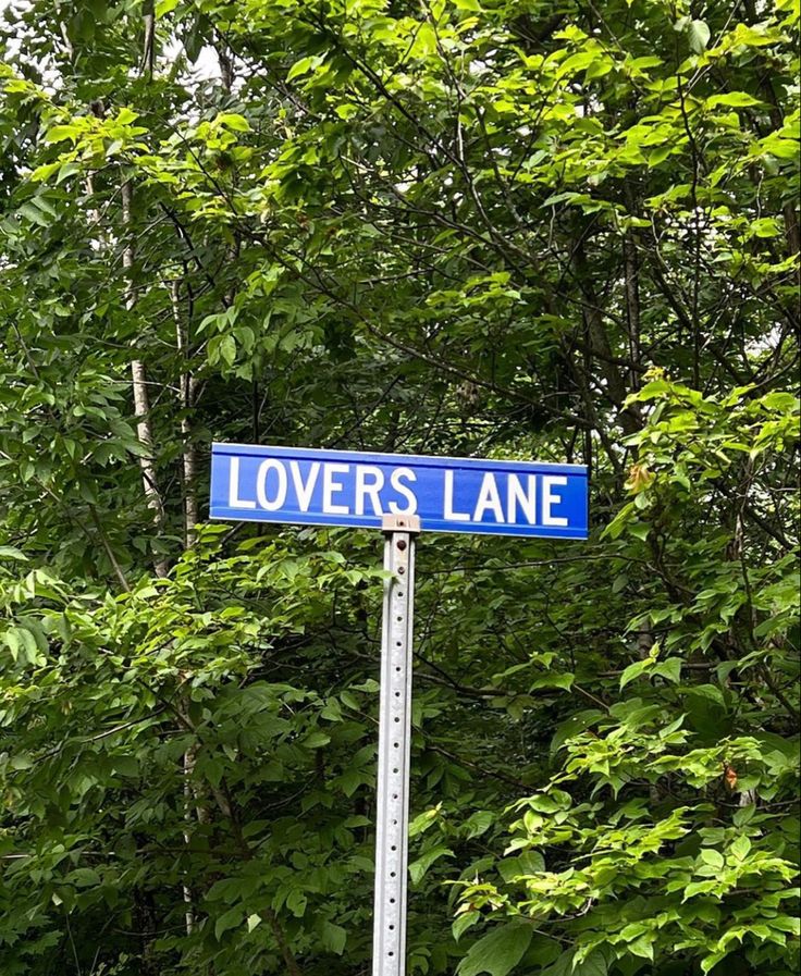 there is a blue street sign that says lover's lane in front of some trees