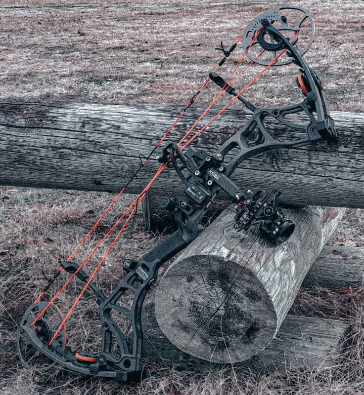 a bow that is sitting on top of a log