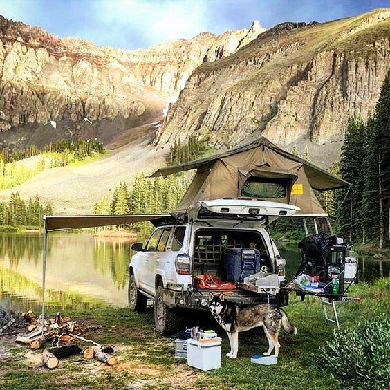 a dog is standing in front of a camper with its tent on the roof