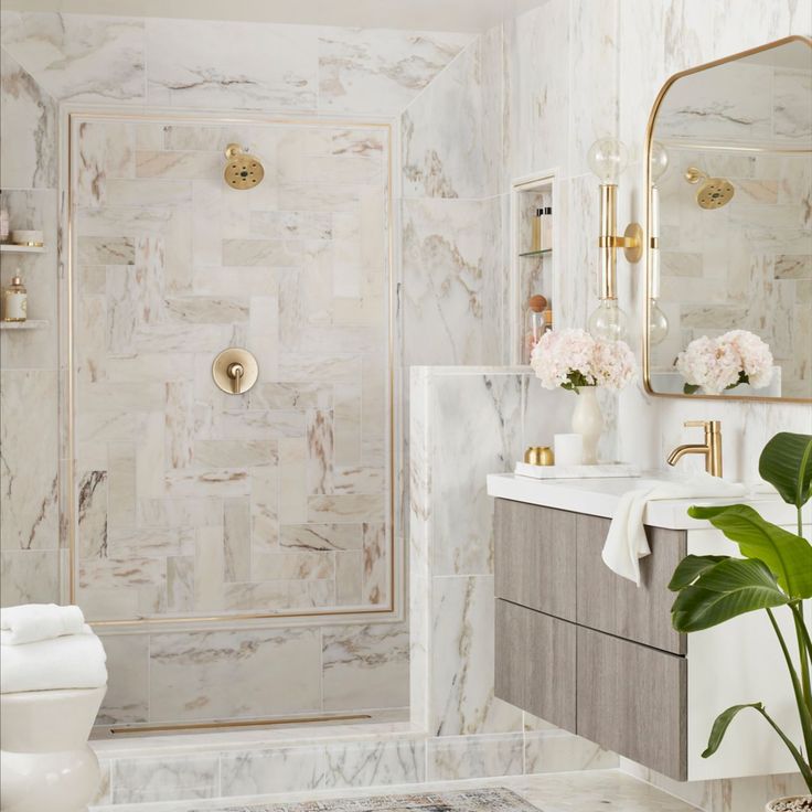 a bathroom with marble walls and flooring has a plant in the corner next to the shower