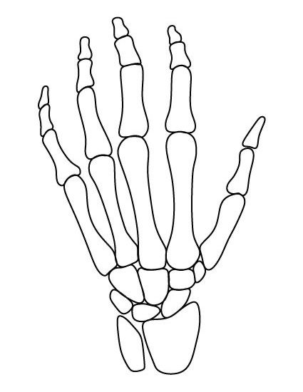 the skeleton's hand is shown in black and white, with lines on it