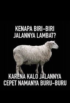 a sheep standing in front of a black background with the words kenya biri - biri jalamya lambat?