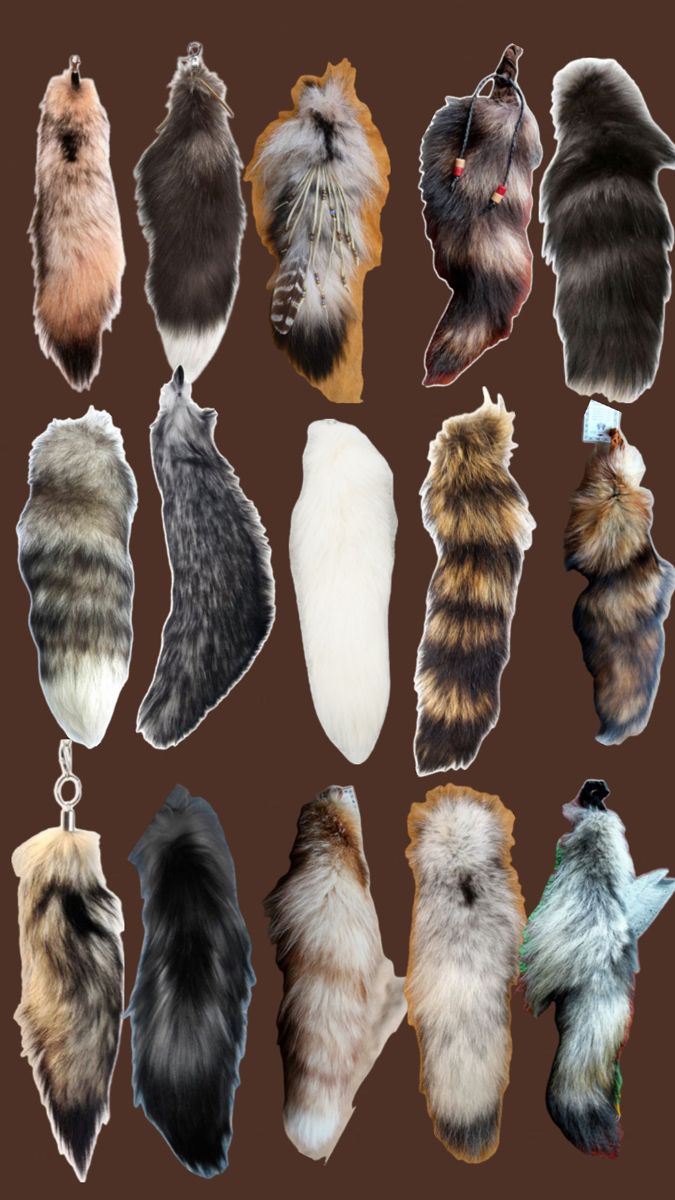 an assortment of furs are shown on a brown background