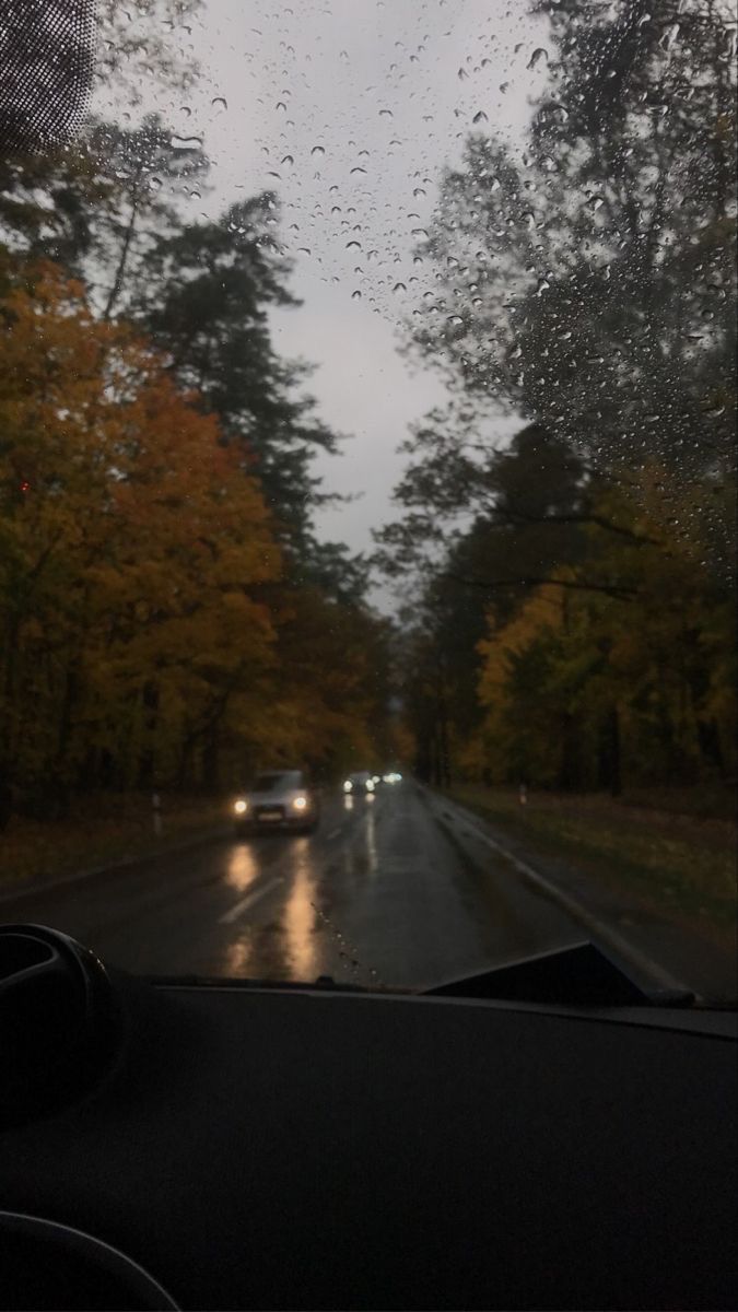 rain is falling on the windshield of a car as it drives down a road in front of trees