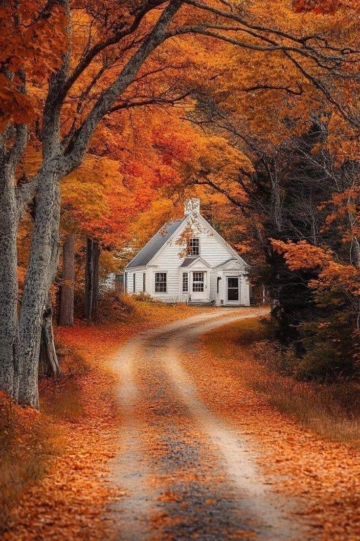 a white house surrounded by trees with orange leaves on the ground in front of it