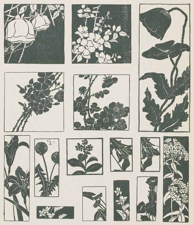 an image of various flowers and plants in black and white colors on a sheet of paper