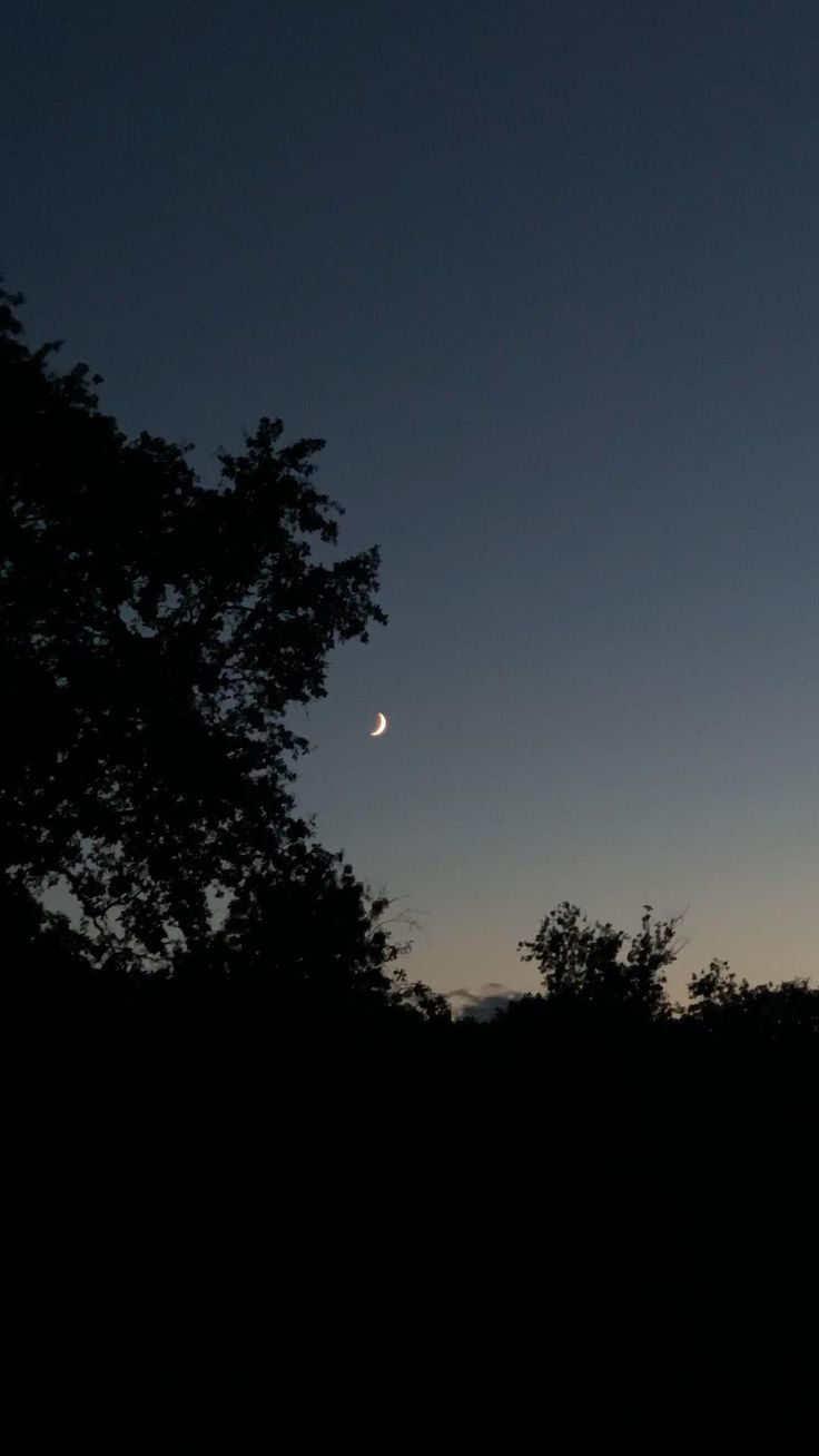 the moon is setting behind some trees