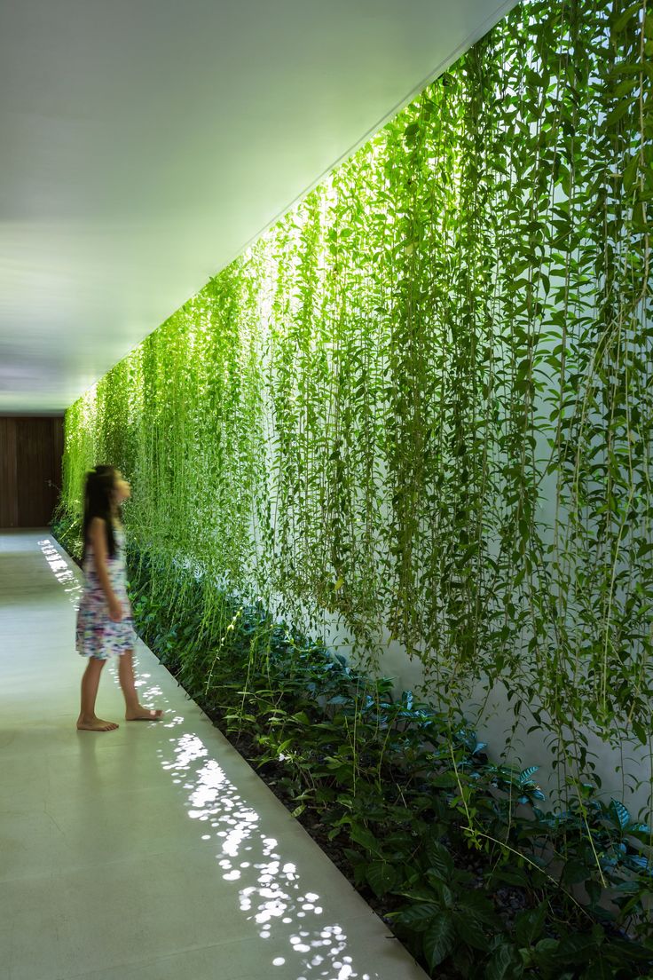 a woman walking down a hallway next to a green wall with plants growing on it