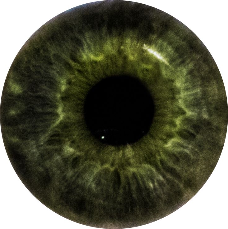 an extreme close up view of the iris of a green eye