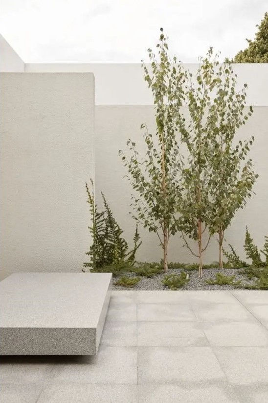 a concrete bench sitting next to a small tree in a courtyard with white walls and grass