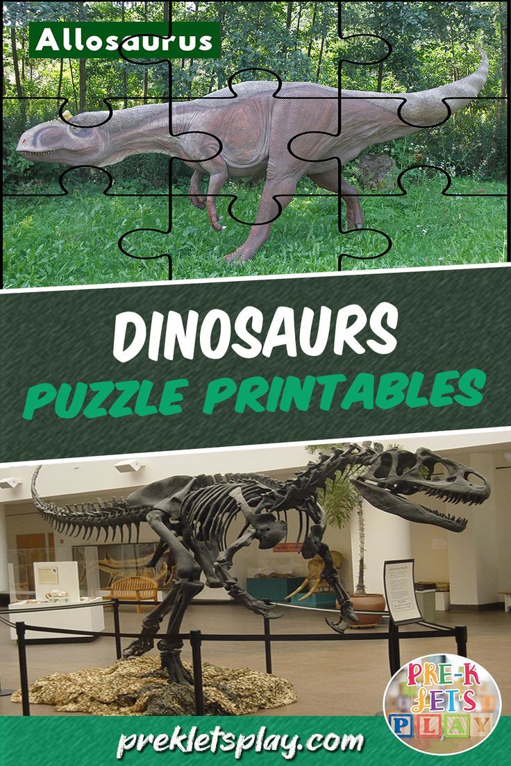 Printable picture puzzles of a dinosaur and its fossil for preschool kids to practice developing their spatial awareness and fine motor skills. Download this activity to play with other dinosaur puzzle printables. Concentration Activities For Kids, Spatial Awareness Activities, Concentration Activities, Dinosaur Preschool, Pretend Play Ideas, Fine Motor Skills Activity, Puzzle Activities, Motor Skills Activity, Dinosaur Printable