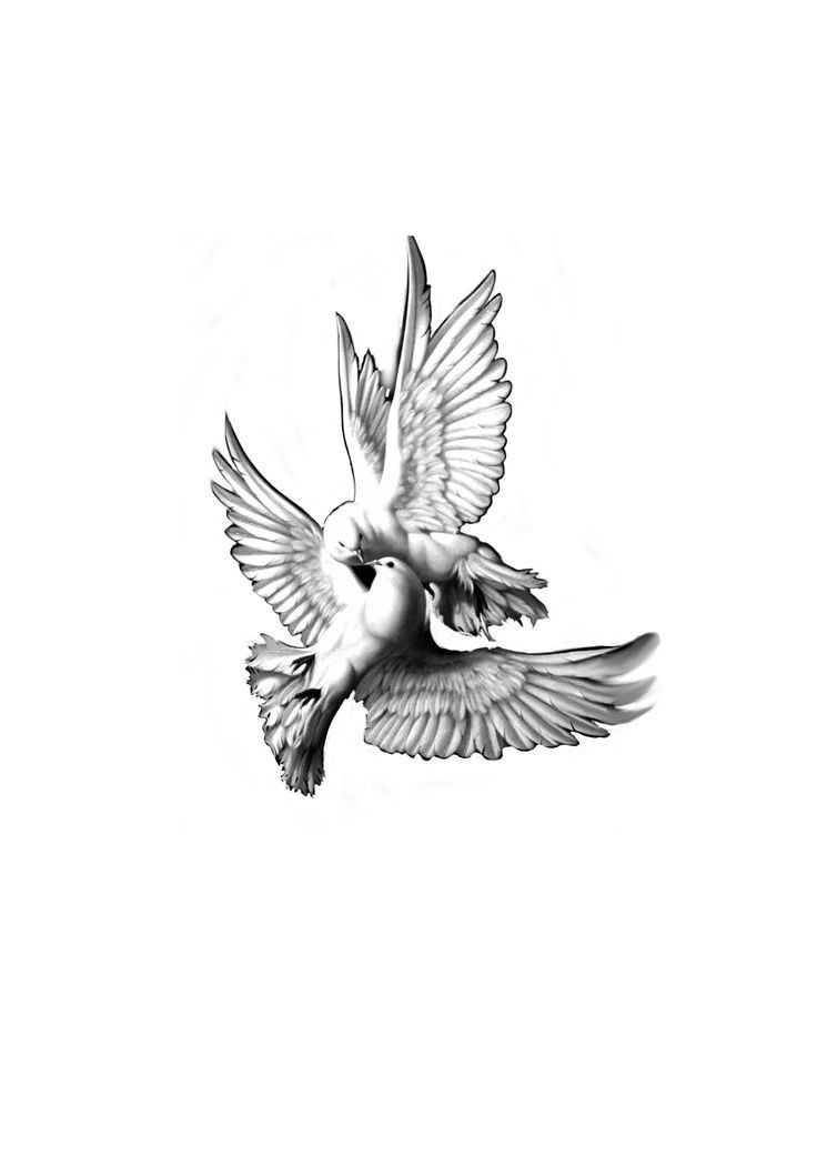 a black and white photo of a bird flying in the air with its wings spread