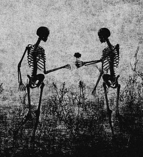 two skeletons holding hands in the middle of a field with a red rose on it