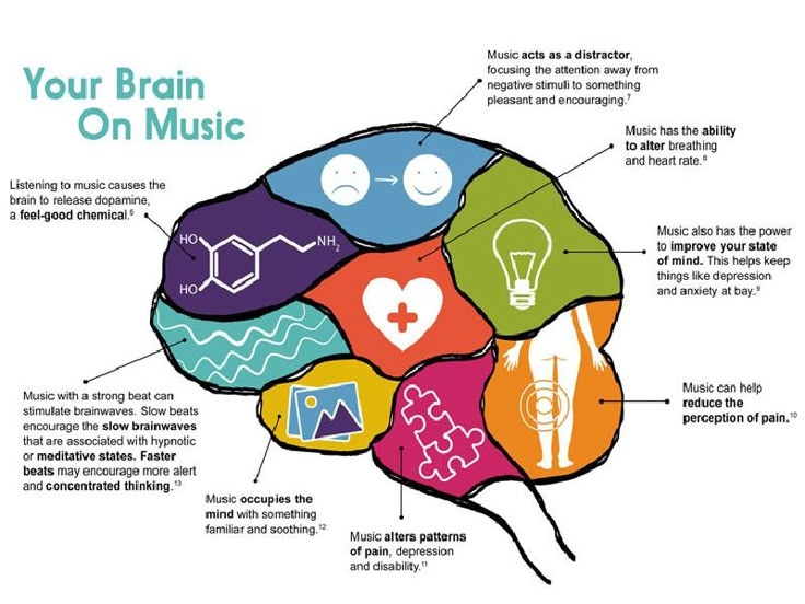 a diagram of the human brain with different areas labeled in each section, including labels and symbols