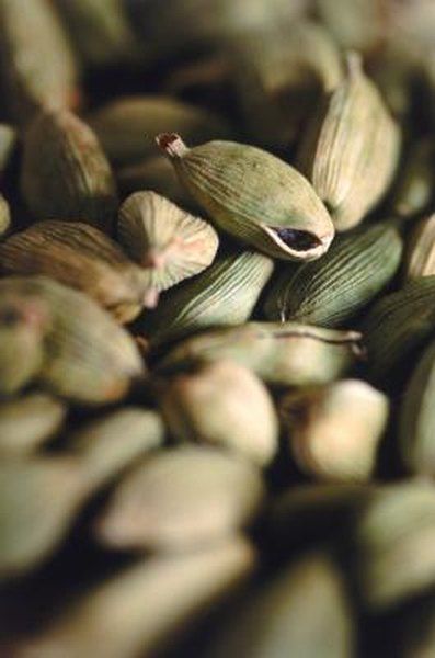 close up view of green seeds on top of each other