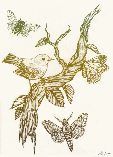 a drawing of two birds and butterflies on a branch