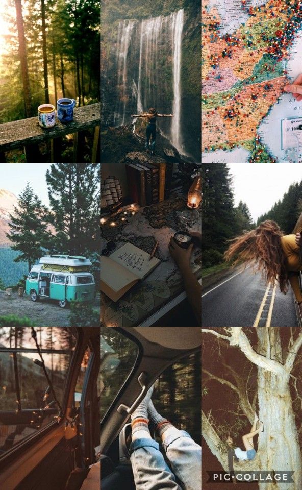 the collage shows many different things and trees