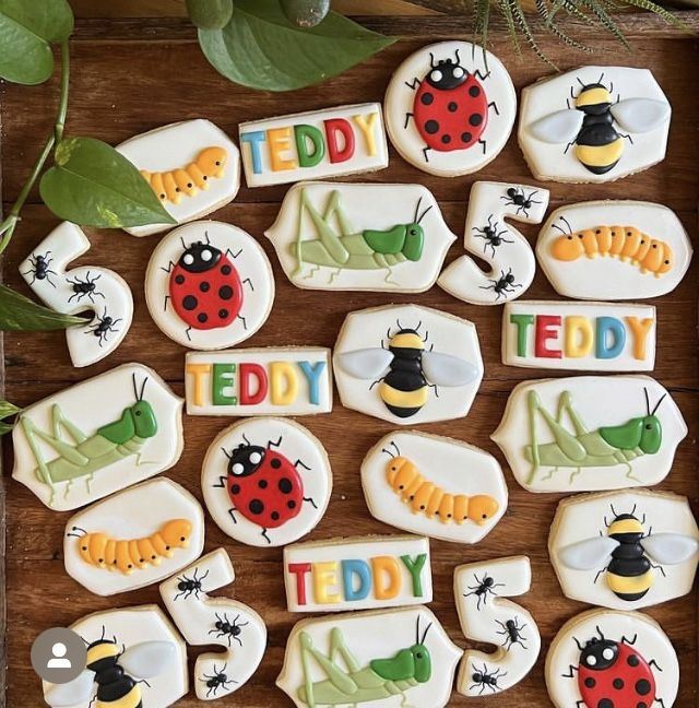 decorated cookies with bugs and ladybugs are displayed on a wooden table next to a potted plant