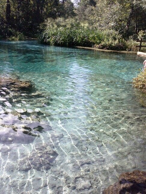 the water is crystal clear and blue