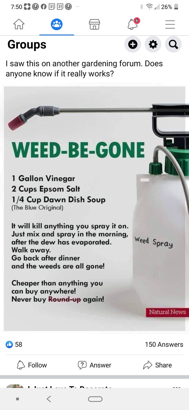 Killing Weeds, Garden Remedies, Garden Weeds, Homemade Cleaning Solutions, Garden Hacks, Homemade Cleaning, Garden Yard Ideas, Outside Ideas, Yard Work