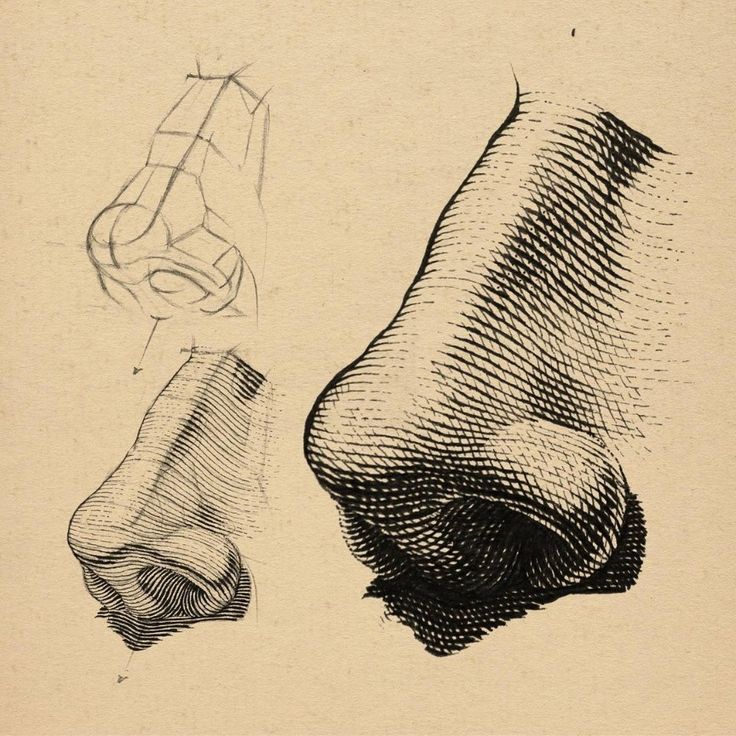 an old drawing of a nose and foot