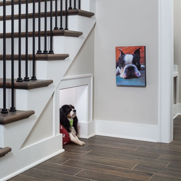 a black and white dog is sitting in his house under the stairs with its head sticking out