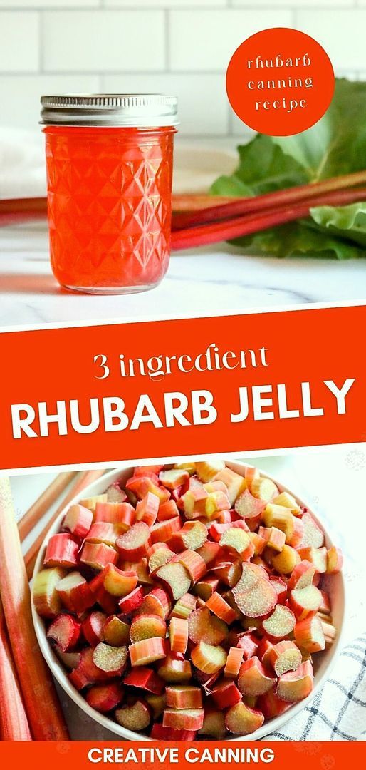 rhubarb jelly recipe in a jar with carrots and rhubarbs