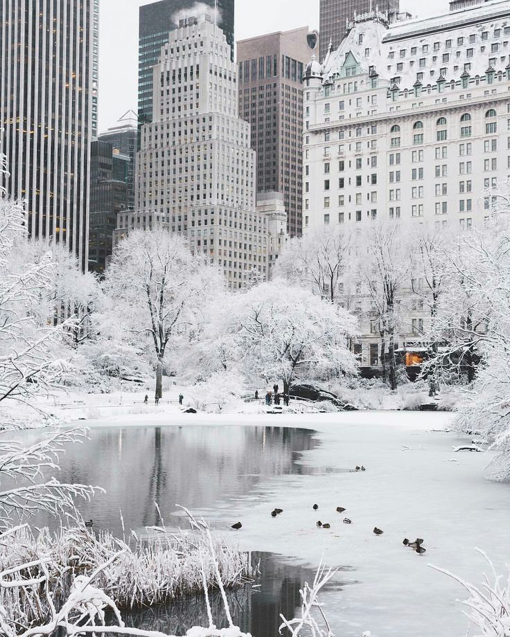 a pond surrounded by tall buildings and snow covered trees in the middle of a city