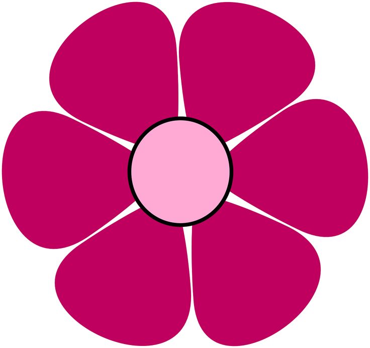 a pink flower with green center on a white background