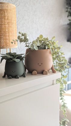 two small pots with plants on top of a white dresser next to a lamp and wallpaper