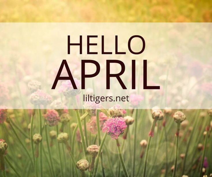 165 Hello April Quotes April 1st Quotes, Welcome April Quotes, Hello April Quotes, Welcome April, April Quotes, Be Nice To Me, Hello April, April Showers Bring May Flowers, April Fool's Day