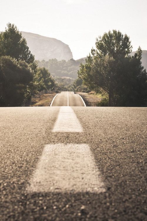 an empty road with trees and mountains in the background