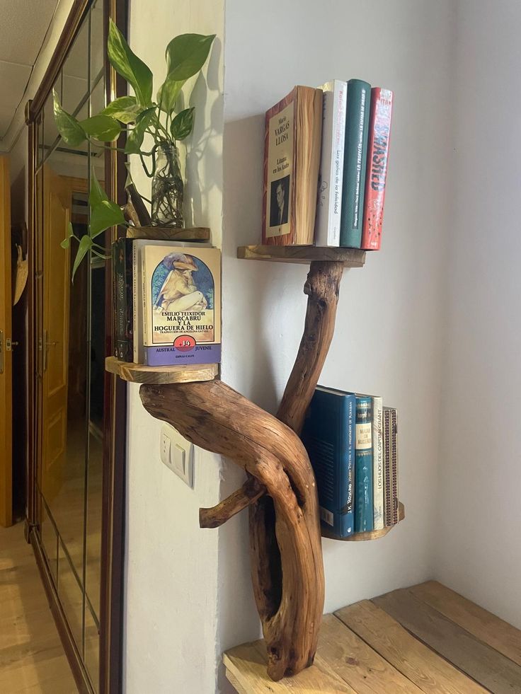 a wooden shelf with books on it and a potted plant in the corner next to it