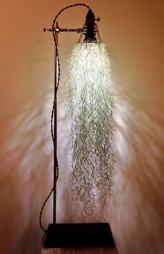 a lamp that is sitting on top of a wooden table in front of a wall