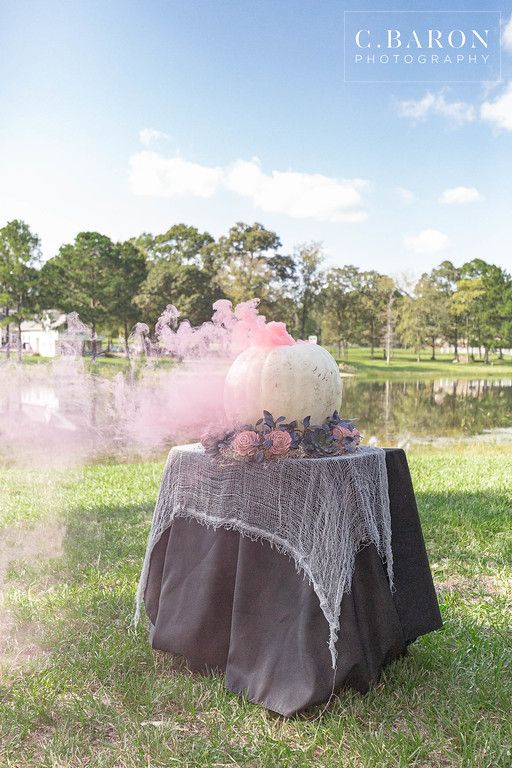 Couldren Gender Reveal, Spooky Gender Reveal Decorations, Witch Gender Reveal Ideas, Disney Halloween Gender Reveal, Cauldron Gender Reveal How To, Unique Gender Reveal Themes Fall, Gender Reveal Ideas For October, Halloween Baby Reveal Ideas, Boo Or Ghoul Gender Reveal