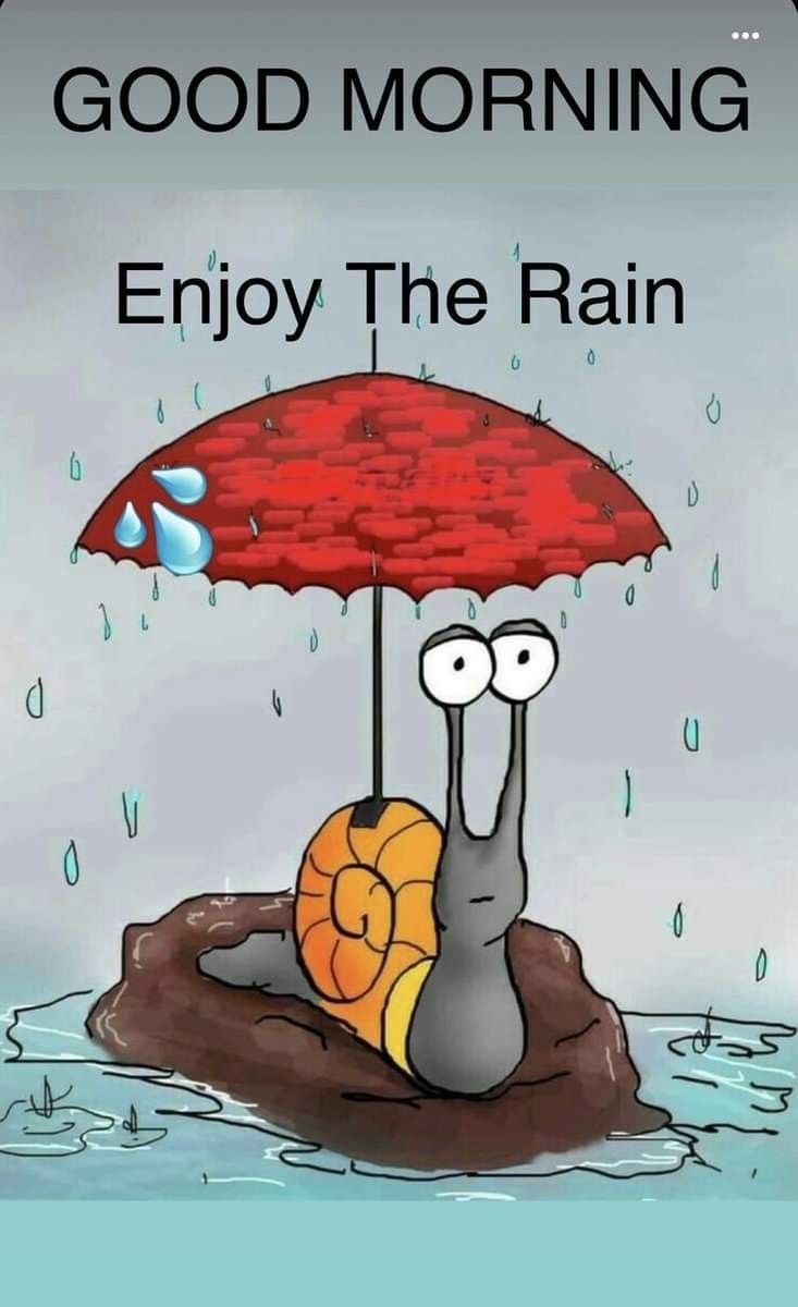 a cartoon snail with an umbrella in the rain