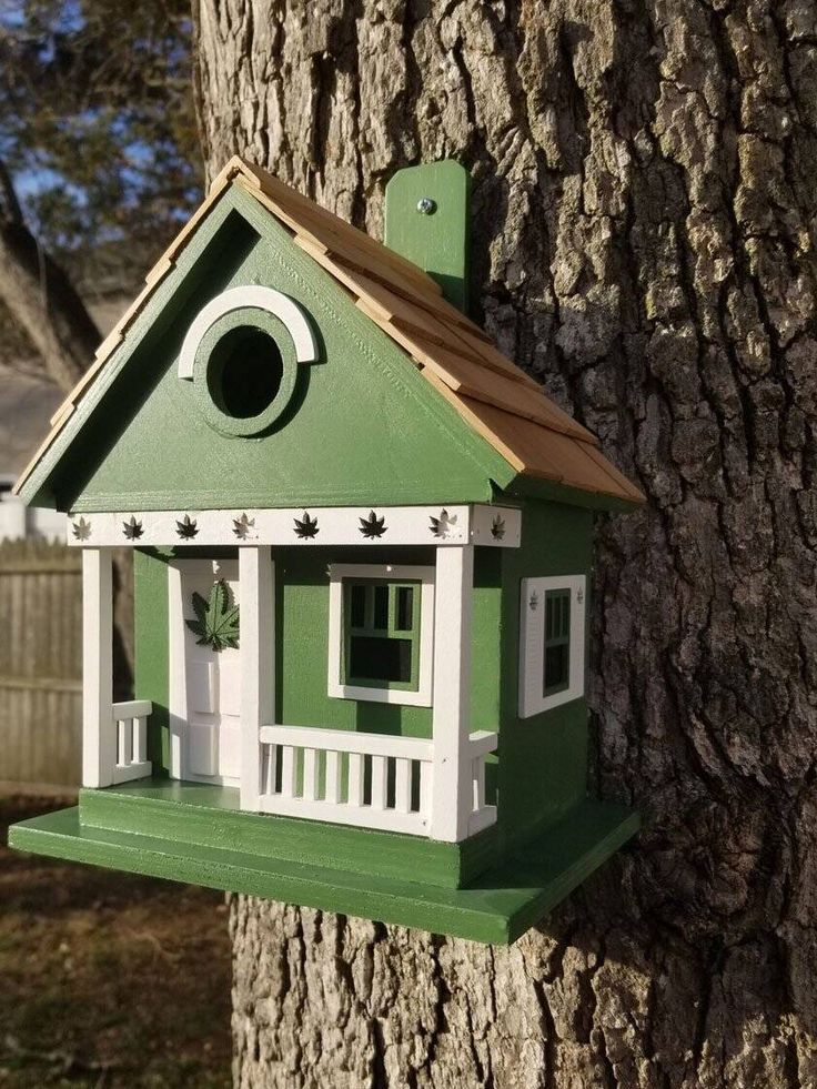 a green birdhouse on the side of a tree