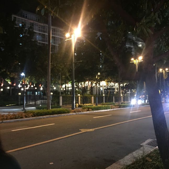 an empty street at night with lights shining on the trees and buildings in the background