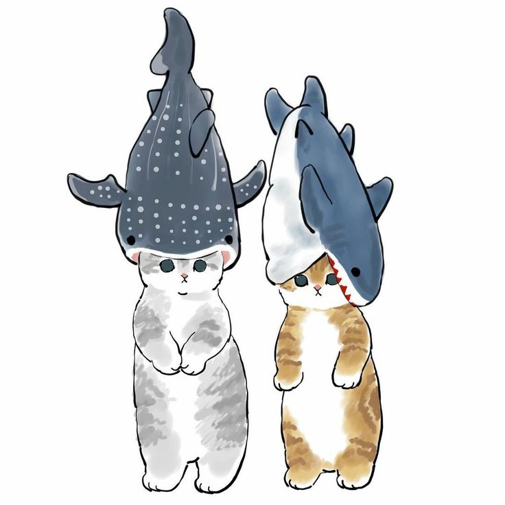 two cats are wearing hats with sharks on them